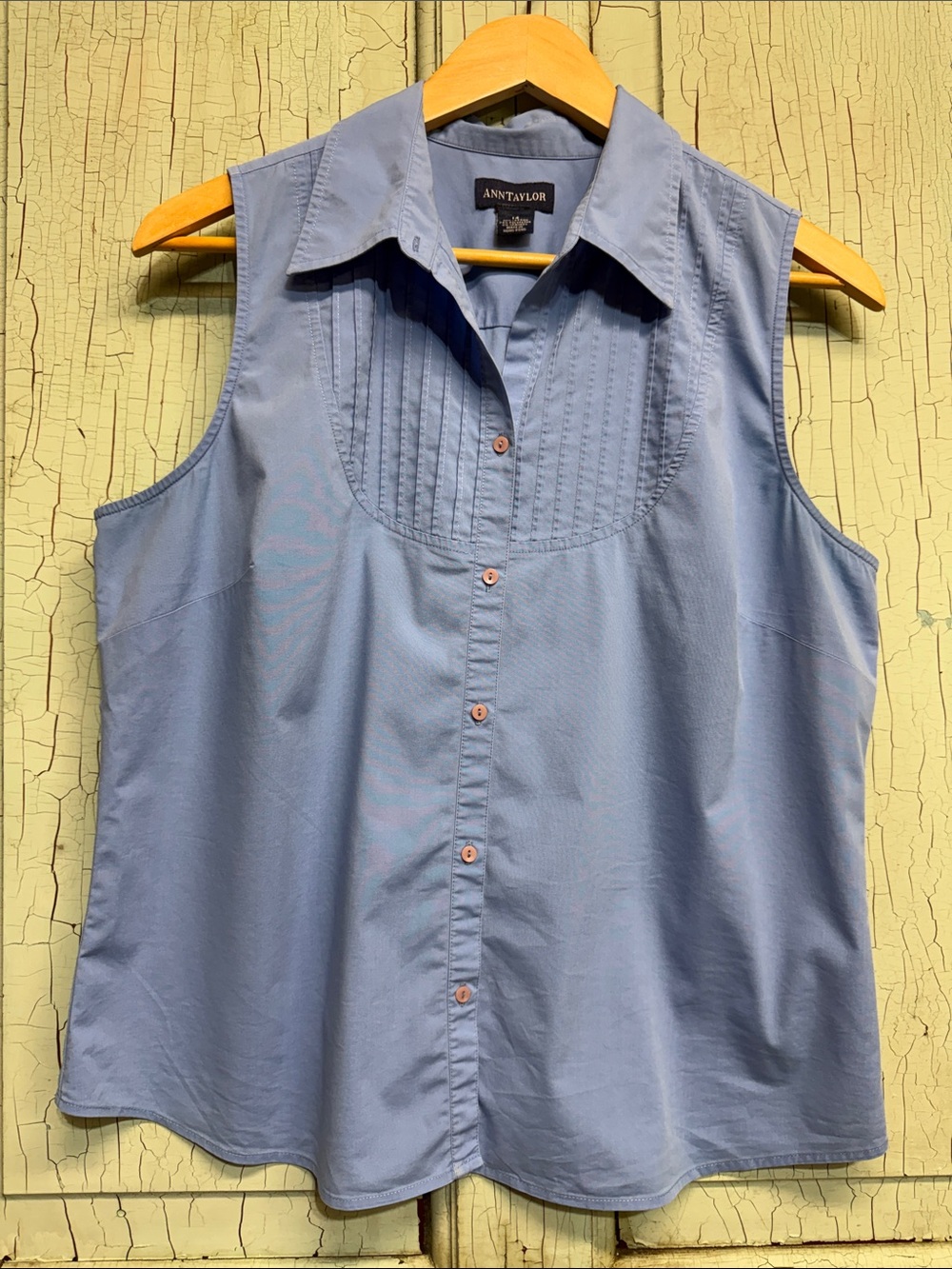 Ann Taylor Sleeveless Button-Down Top
